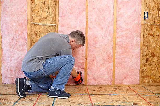 Best Commercial Insulation Contractor  in Berkley, CO